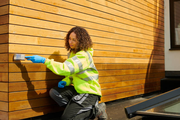 Best Brick Veneer Siding  in Holliday, TX